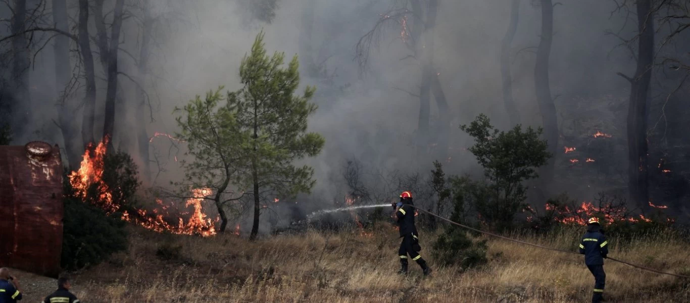 Μεγάλες φωτιές σε Κνωσσό & Κάρυστο απειλούν σπίτια - Σπεύδουν ισχυρές πυροσβεστικές δυνάμεις (upd)